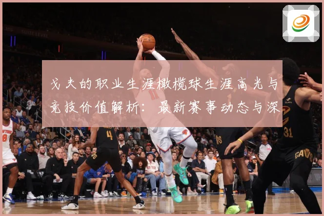 戈夫的职业生涯橄榄球生涯高光与竞技价值解析：最新赛事动态与深度分析